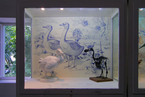 vitrine sur le dodo